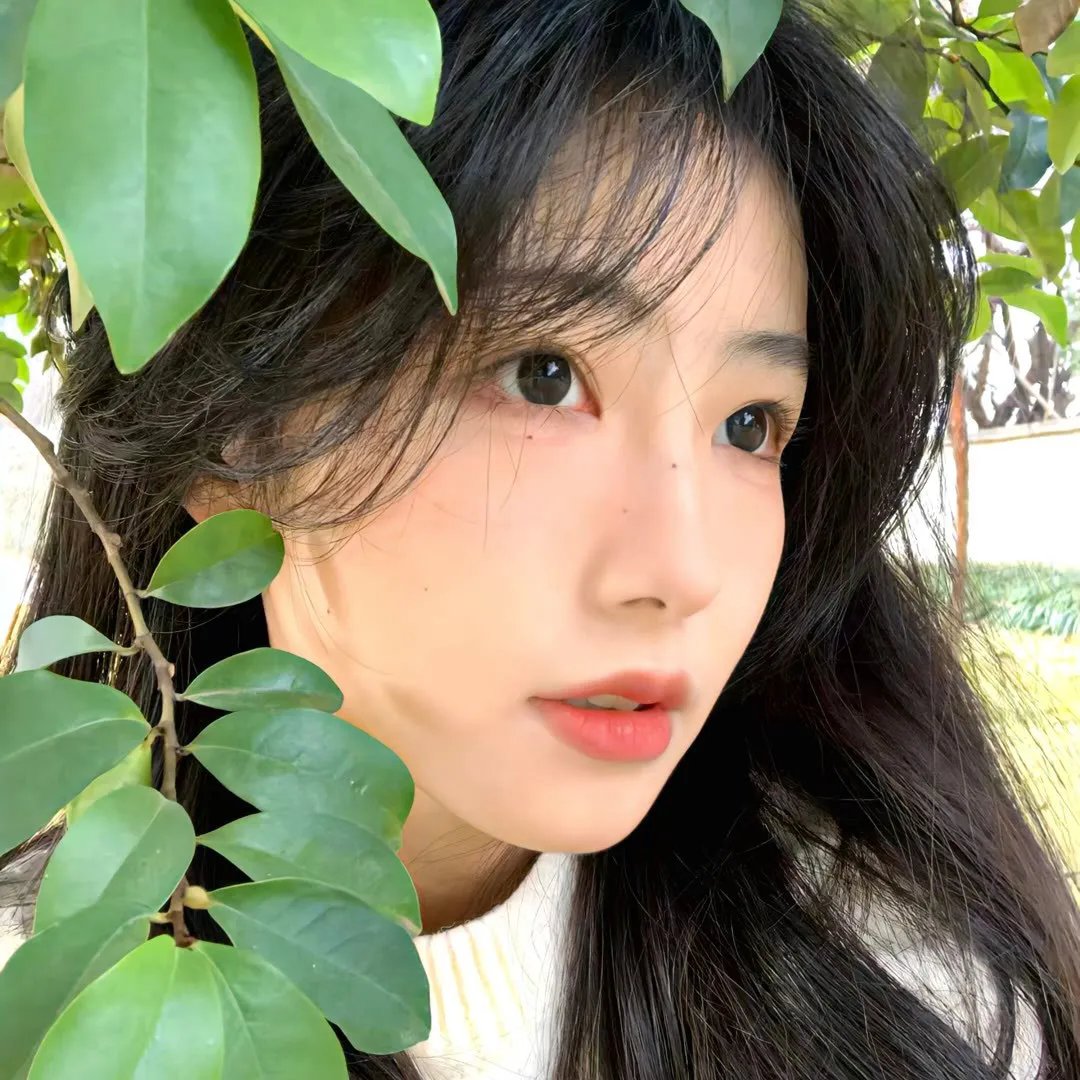 完美物质